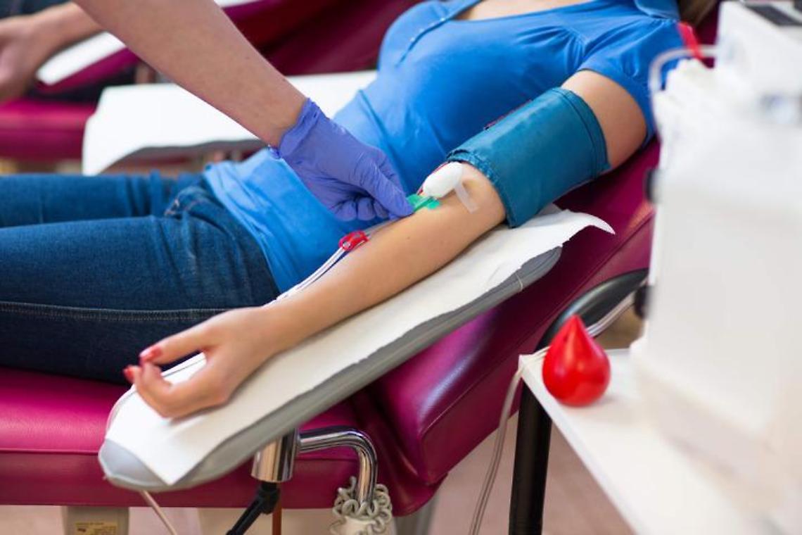 Donazione di sangue, grande adesione
