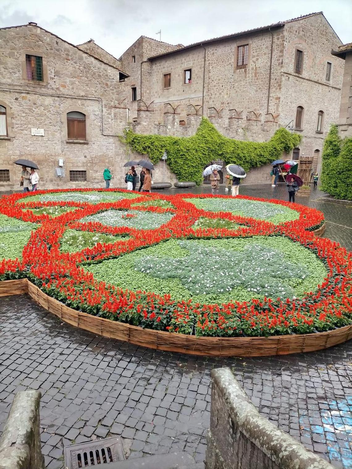 Viterbo, al lavoro per San Pellegrino in fiore 2025