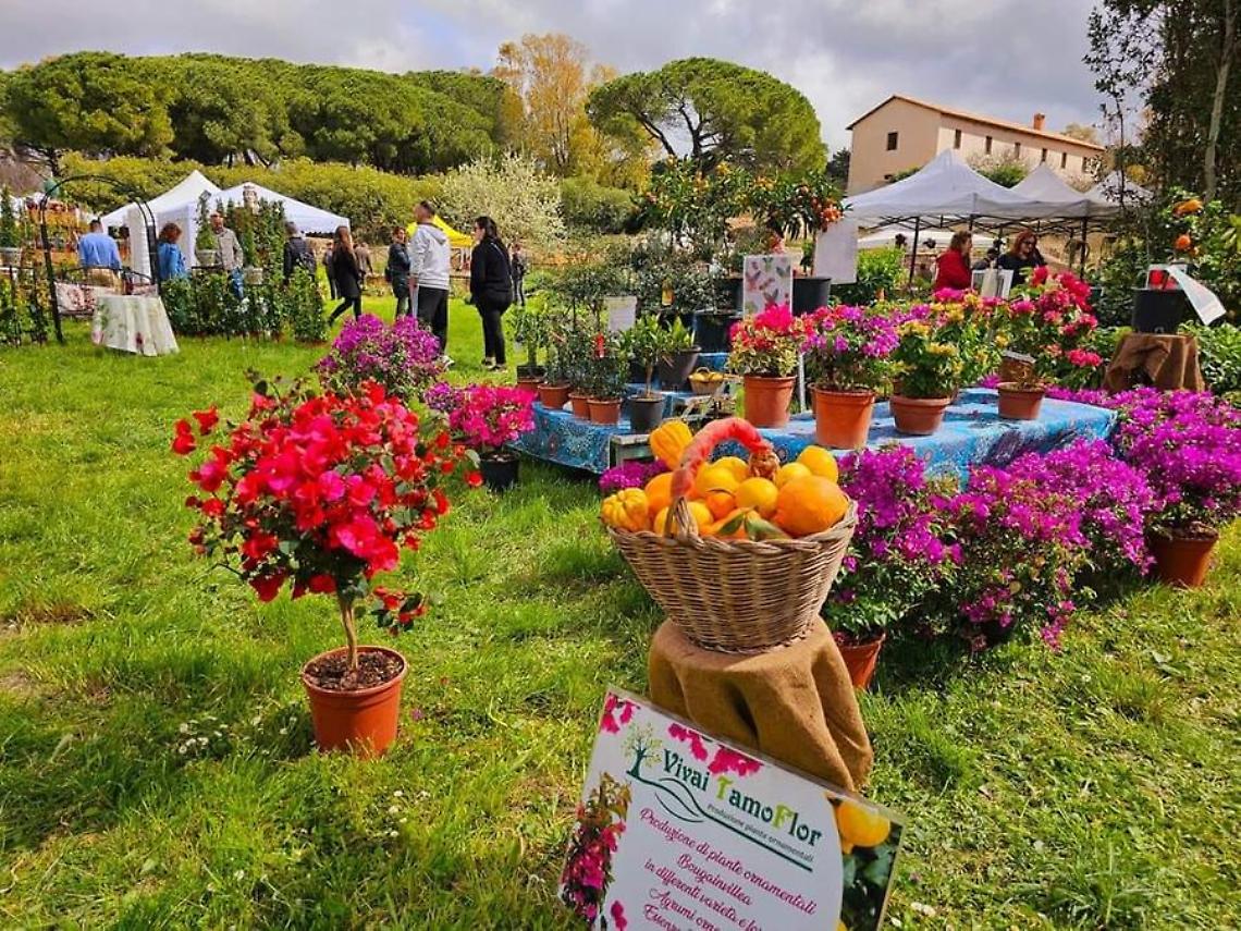 Terme in fiore, successo per la due giorni di colori e profumi
