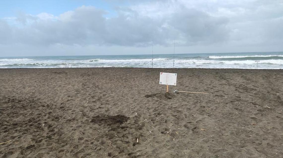 In spiaggia arrivano i cartelli informativi sulla sicurezza in mare