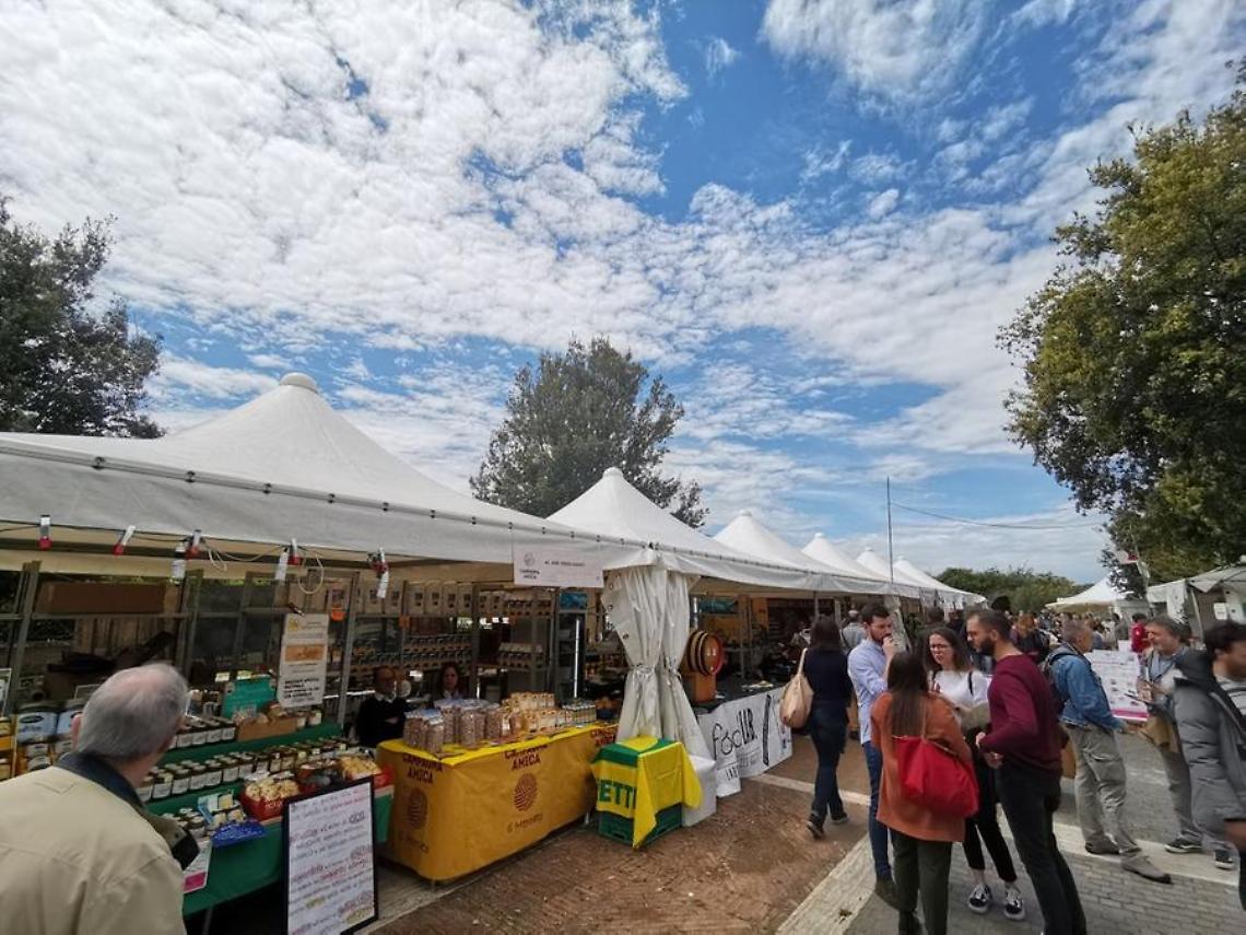 Tutto pronto per la sagra del salame cotto e del pecorino romano