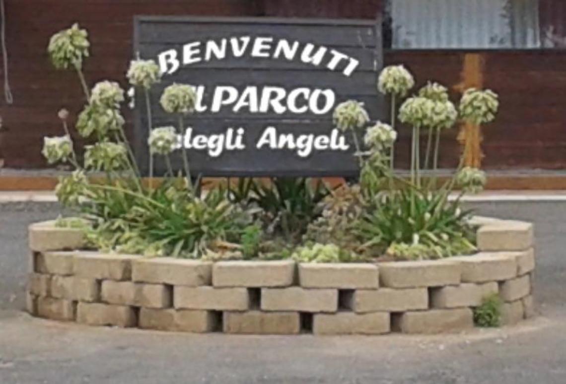 Al parco degli Angeli &ldquo;Friendly Reality&rdquo;