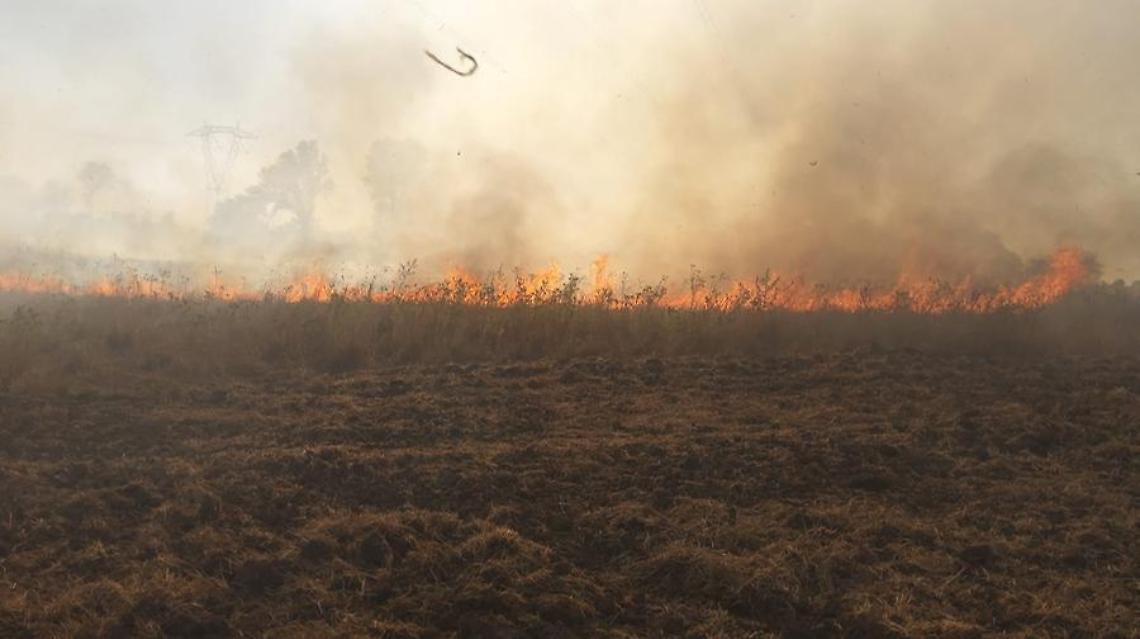Incendi dolosi: scatta l&rsquo;ordinanza a Cerveteri