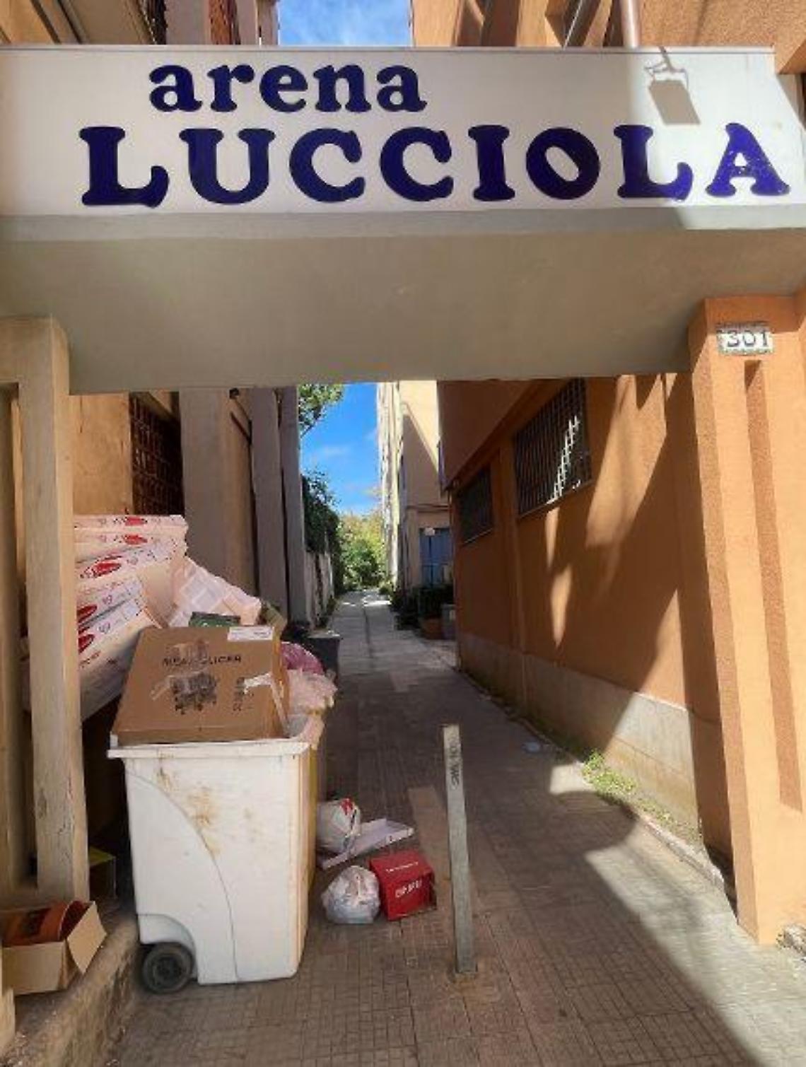Elena Giogli: &laquo;Cassonetti dell&rsquo;immondizia stracolmi all&rsquo;ingresso dell&rsquo;arena Lucciola di Santa Marinella&raquo;