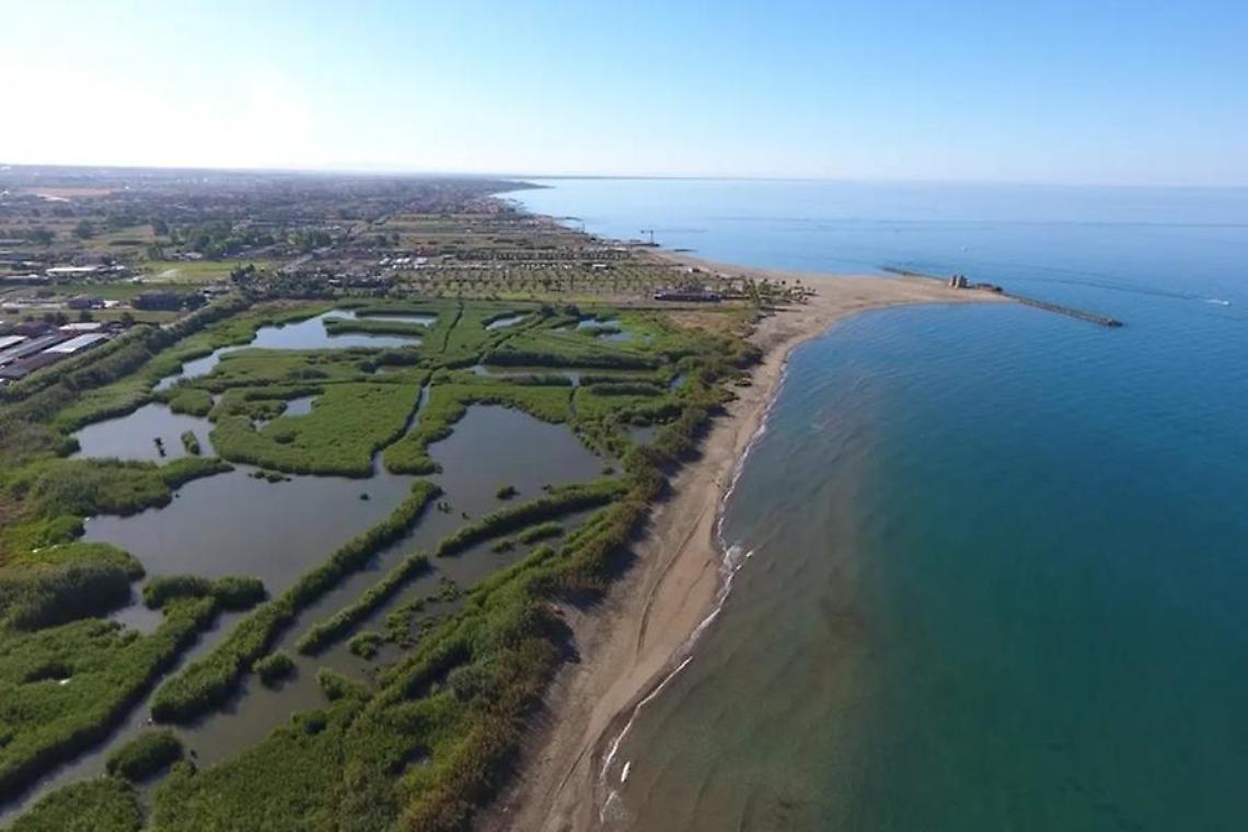 «Un coordinamento stabile per tutelare l’ecosistema»