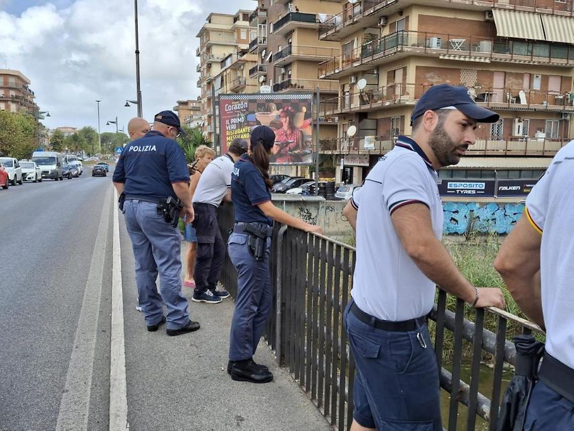 Ladispoli, &egrave; caccia al coccodrillo