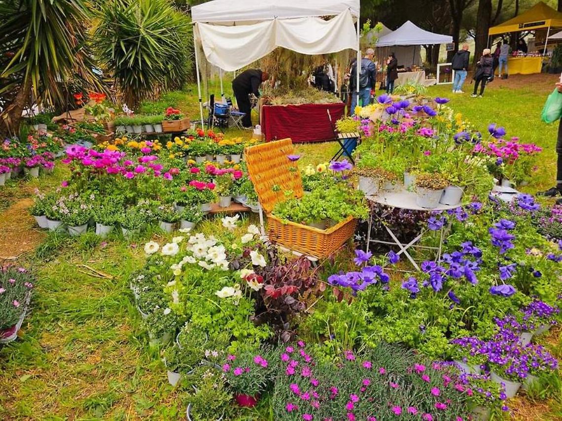 Torna l’appuntamento con Terme in fiore