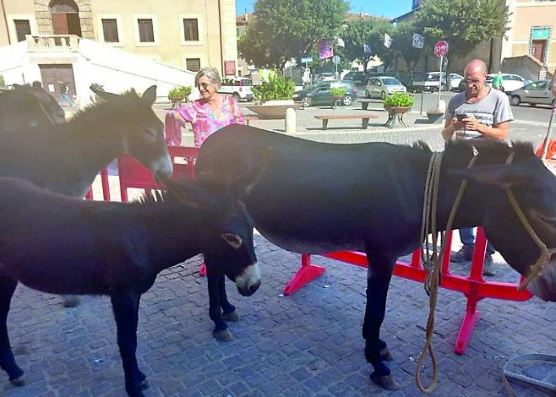 Allumiere festeggia il successo della “Fiera Asinina e del Festival del Folklore 2025”