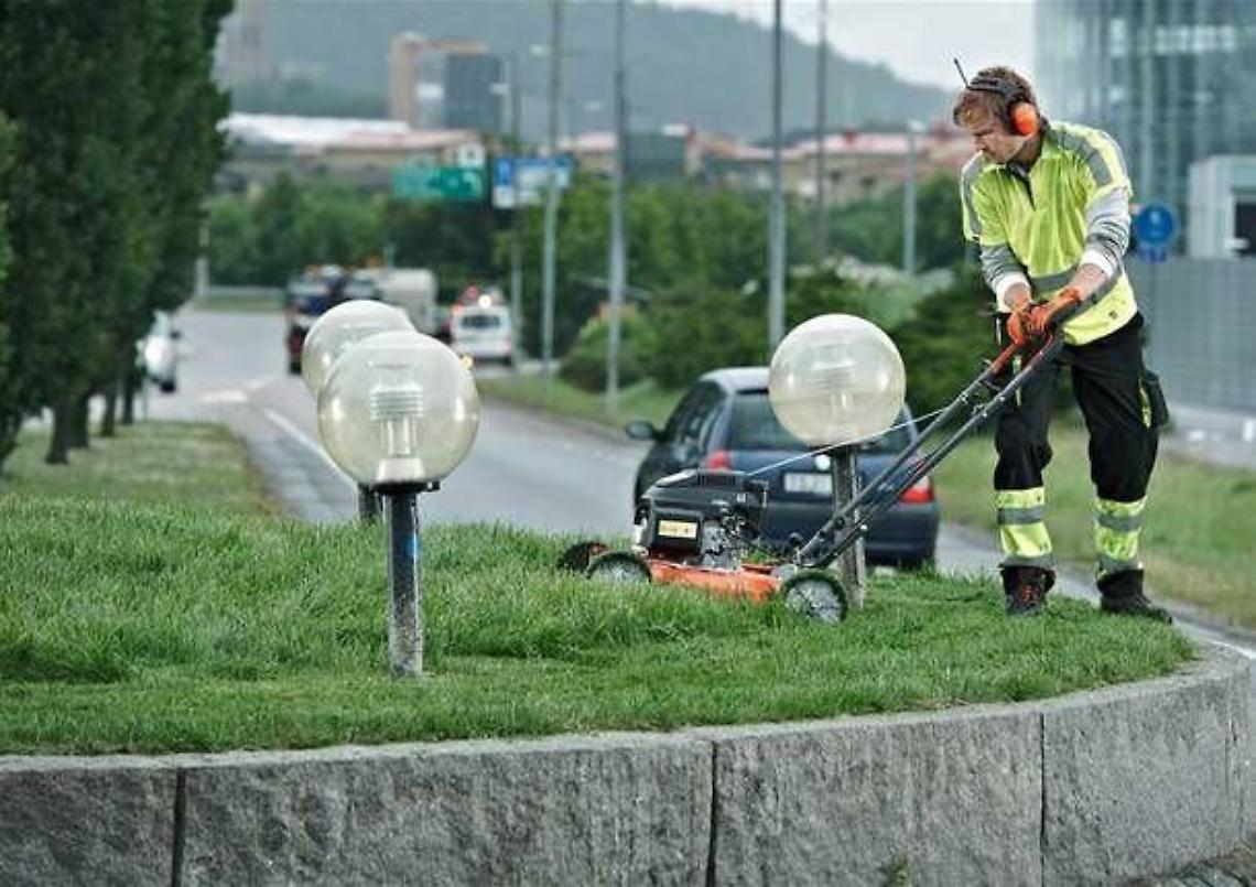 «Si modifichi il regolamento comunale relativo alla funzione per il controllo analogo della multiservizi»