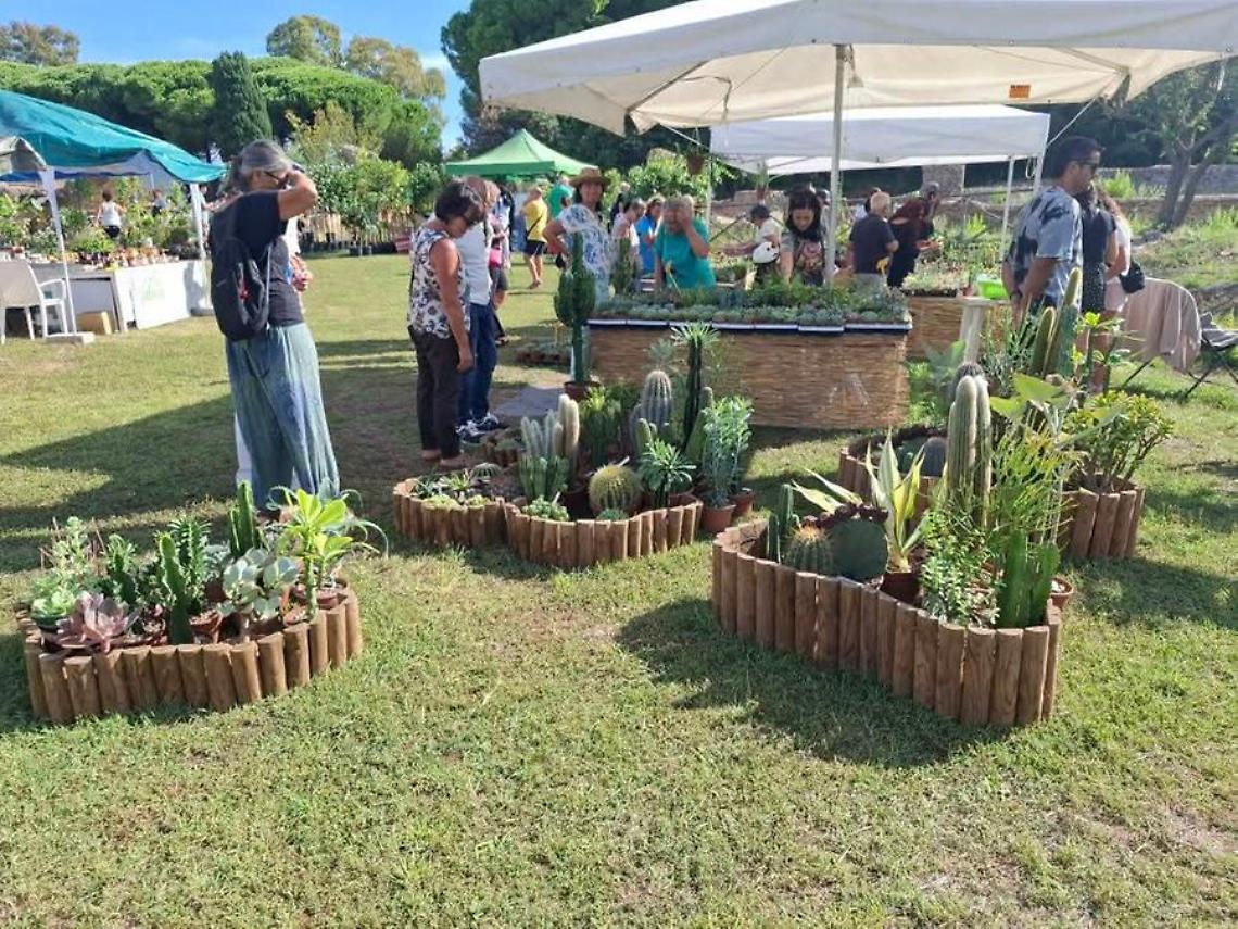 Terme in fiore, successo al parco archeologico