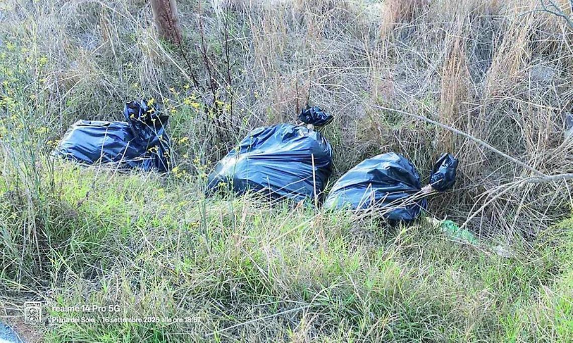 Rifiuti abbandonati alle Vignole: «Una situazione indecorosa»