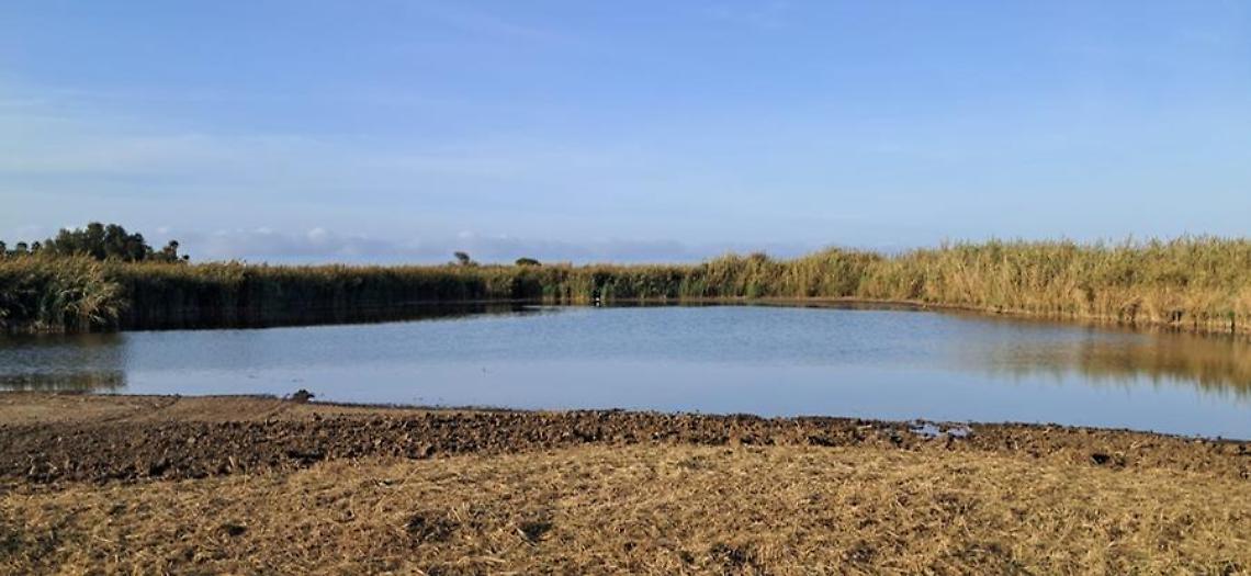 Torna l’acqua nella Palude “secca” ma preoccupa l’erosione marina