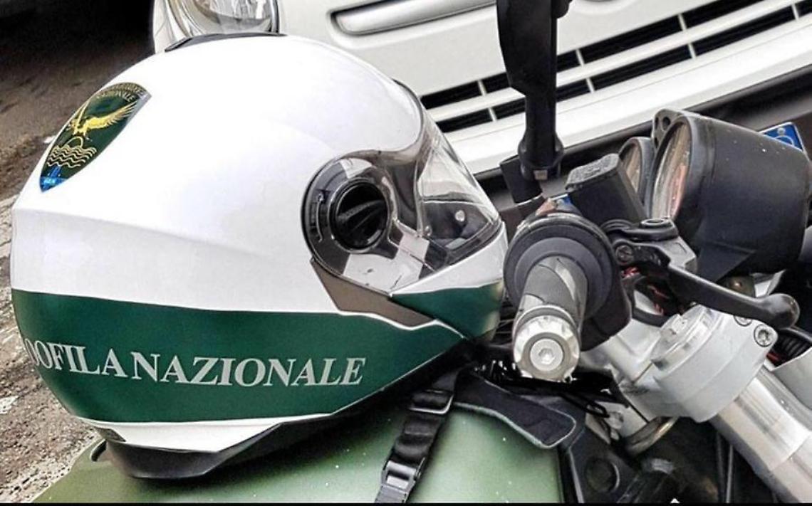 La Guardia Ecozoofila annuncia lo stop alle attività