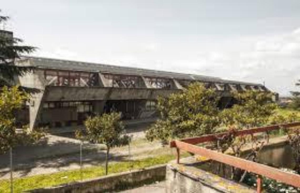 Viterbo, il Comune “riammette” l’istituto Carmine