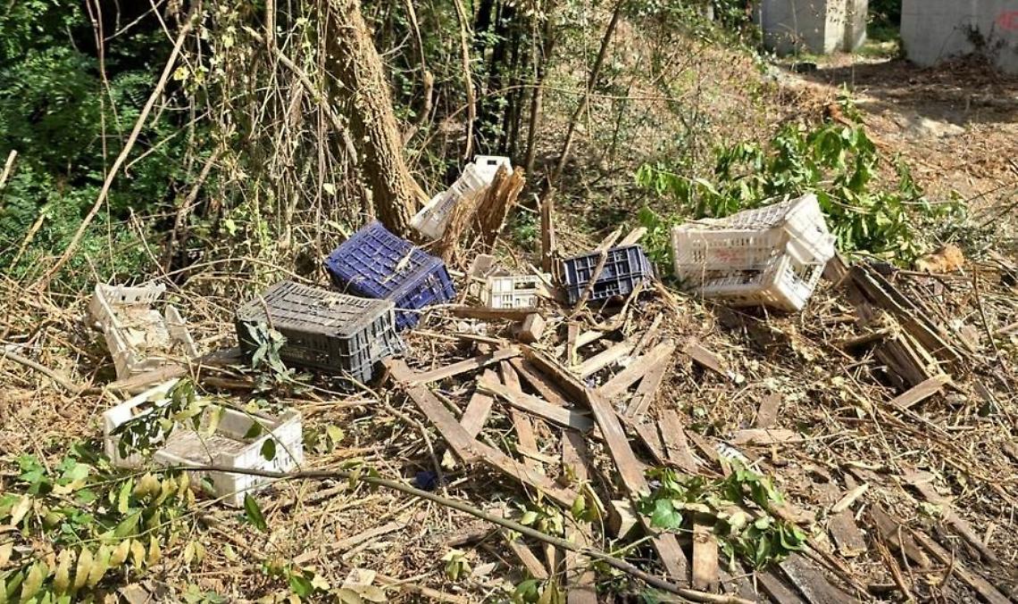 «Orte, una discarica abusiva da vergogna»