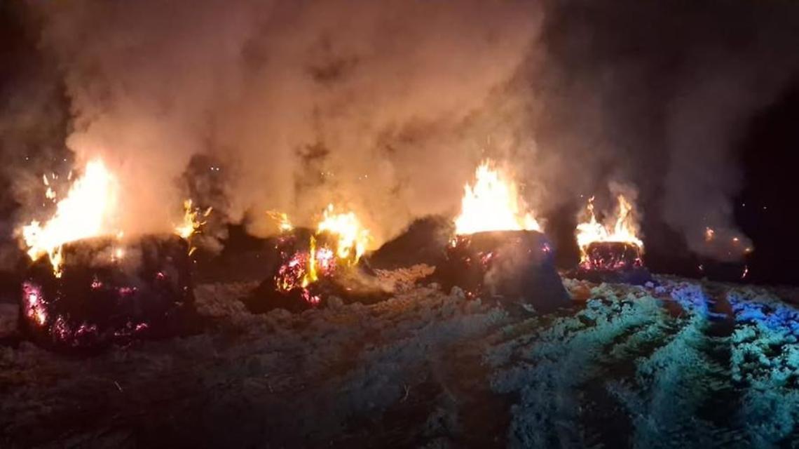 Roghi tossici, blitz dei carabinieri: sanzionato un agricoltore