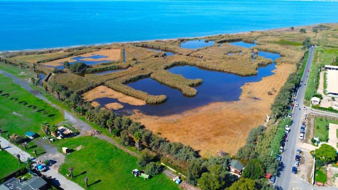 Bonifica in spiaggia e pulizia dei canali nella Palude