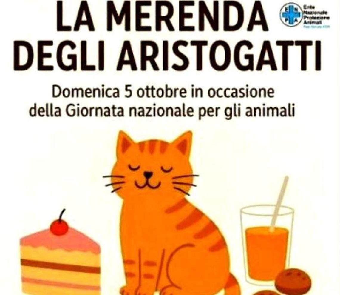 Santa Marinella, una merenda benefica in favore degli Aristogatti