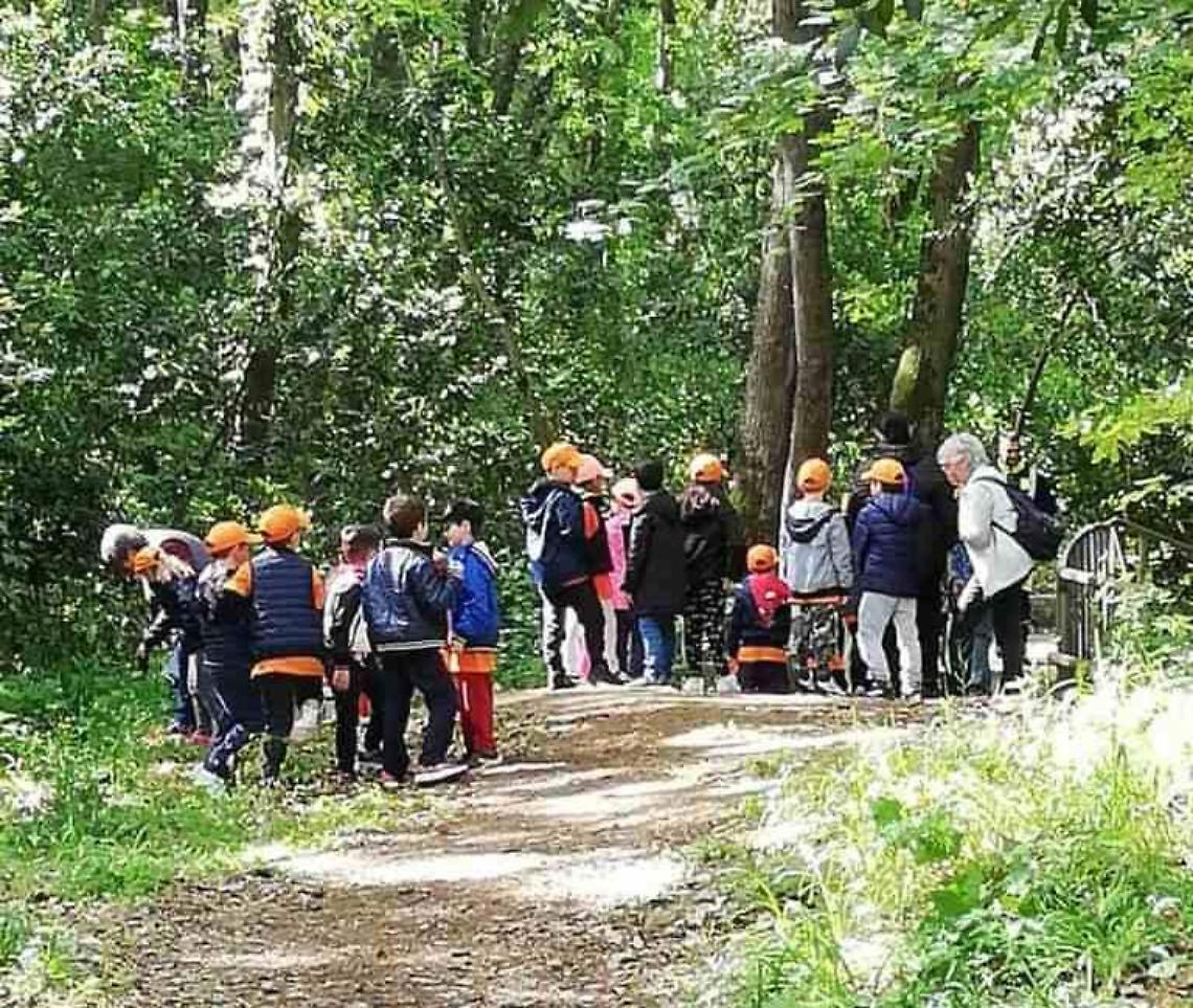 «È un bene troppo prezioso: non saremo spettatori al degrado del nostro bosco»