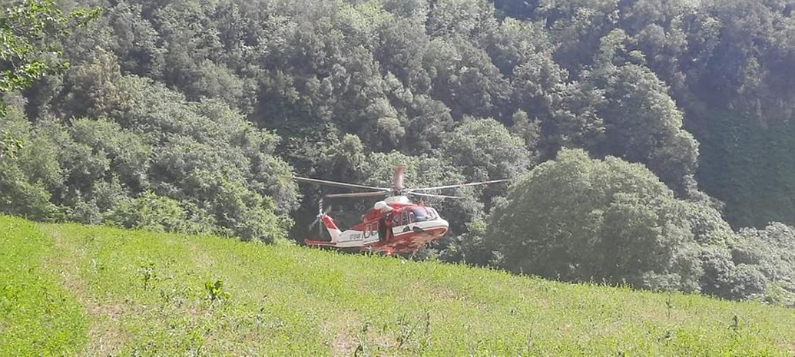 Accusa un malore dopo la puntura di un calabrone: atterra l’elicottero