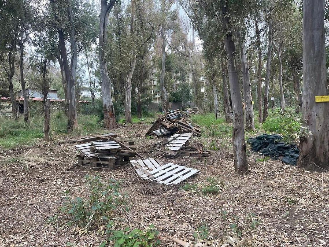 Santa Severa, criticità legate alla manutenzione del verde pubblico, alla pulizia degli spazi comuni, alla gestione dei rifiuti e alla viabilità