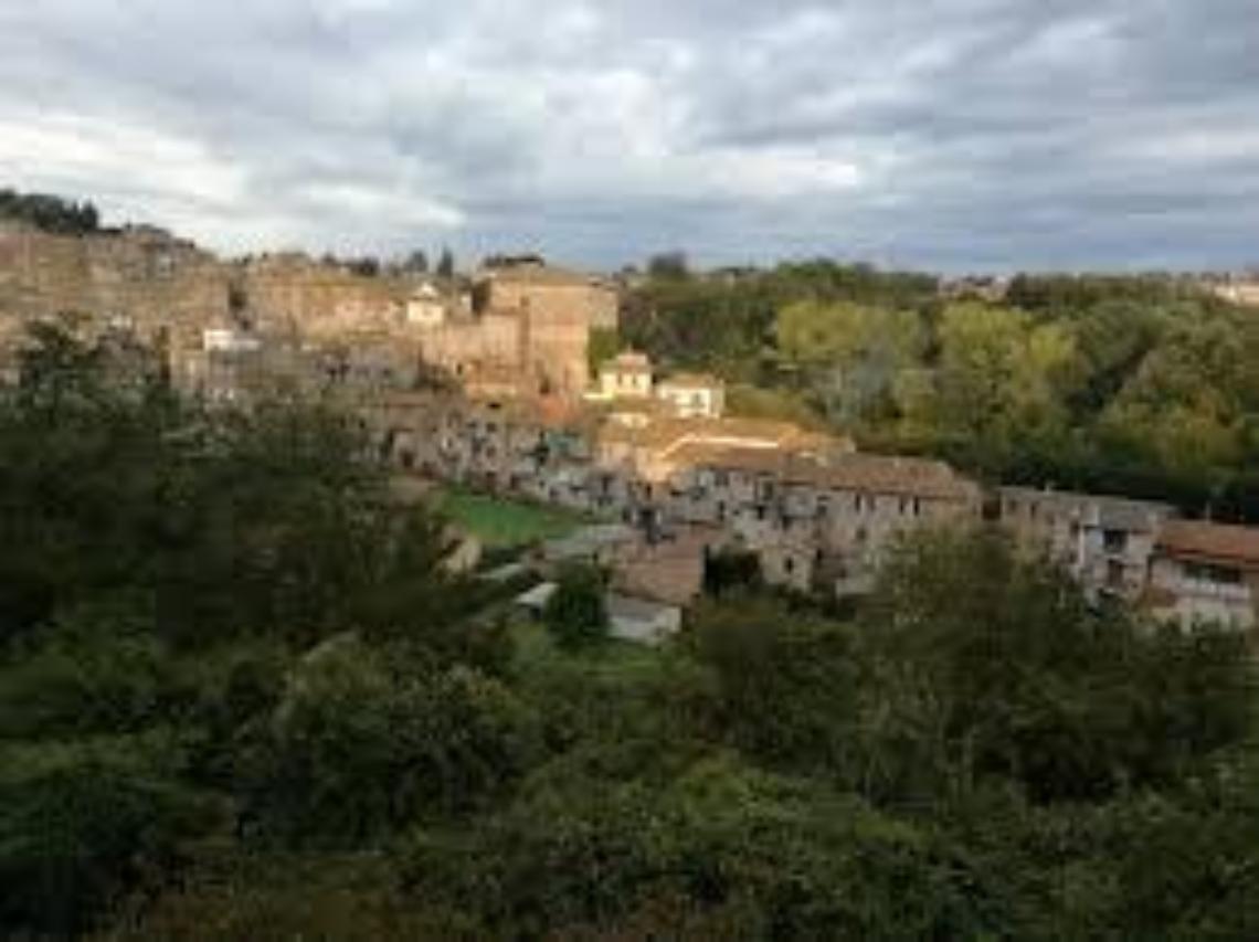 «Raccolta differenziata oltre il 79%»