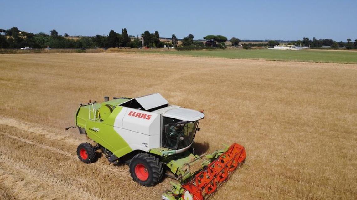 Crolla il prezzo del grano, settore agricolo sempre più a rischio