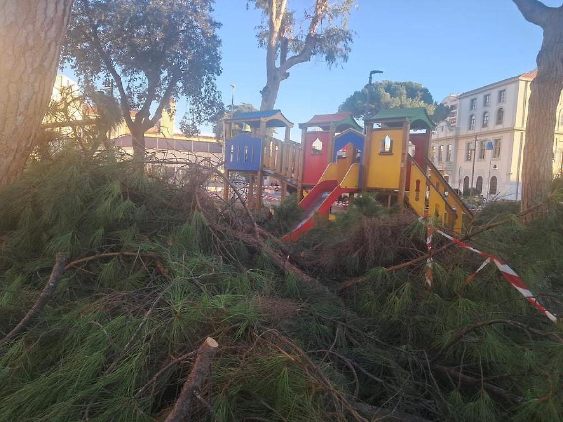 Potature senza preavviso: bambini a casa