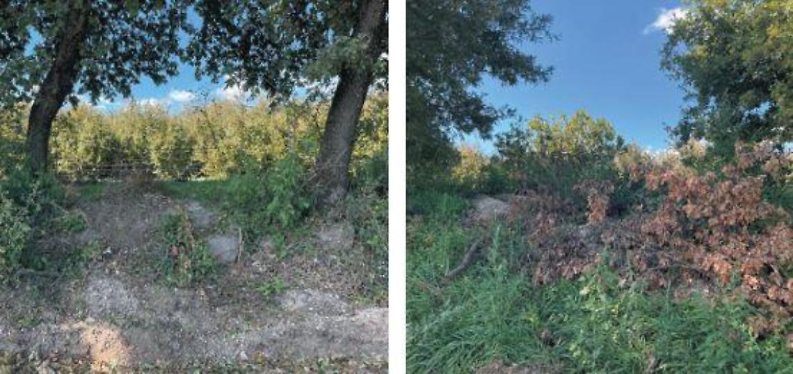 «Sfregio alla storia e all’ambiente»