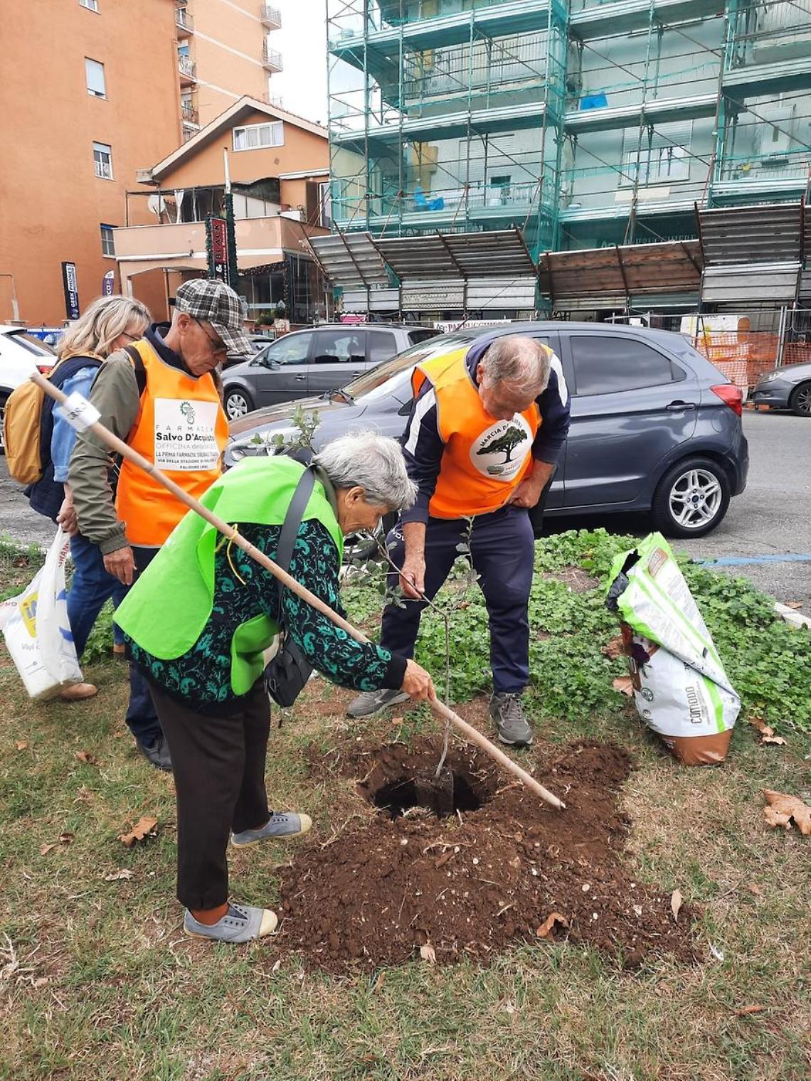 Nuove piante cresceranno: al via la 10° edizione della “Marcia degli alberi”