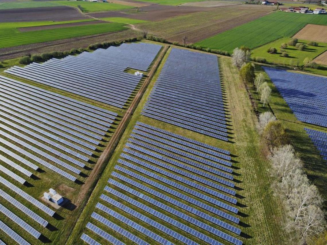 Socciarelli: «Prima di lanciare accuse sarebbe bastato leggere i documenti»