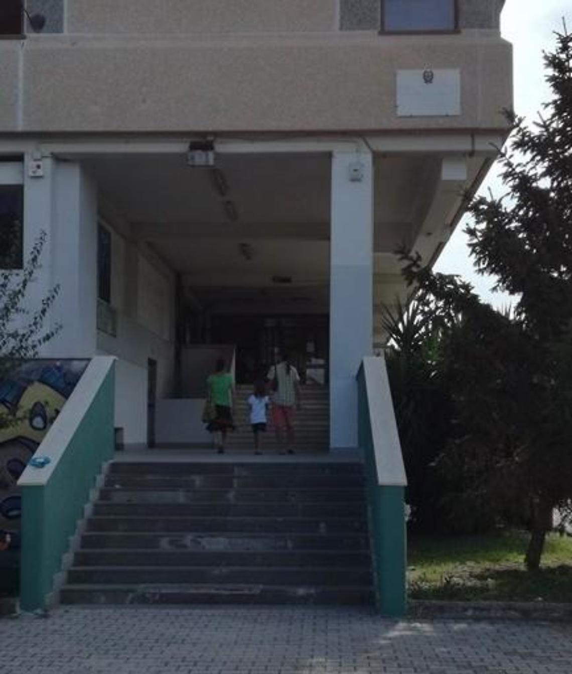 «Topi nelle classi e vicino alla mensa: si intervenga»