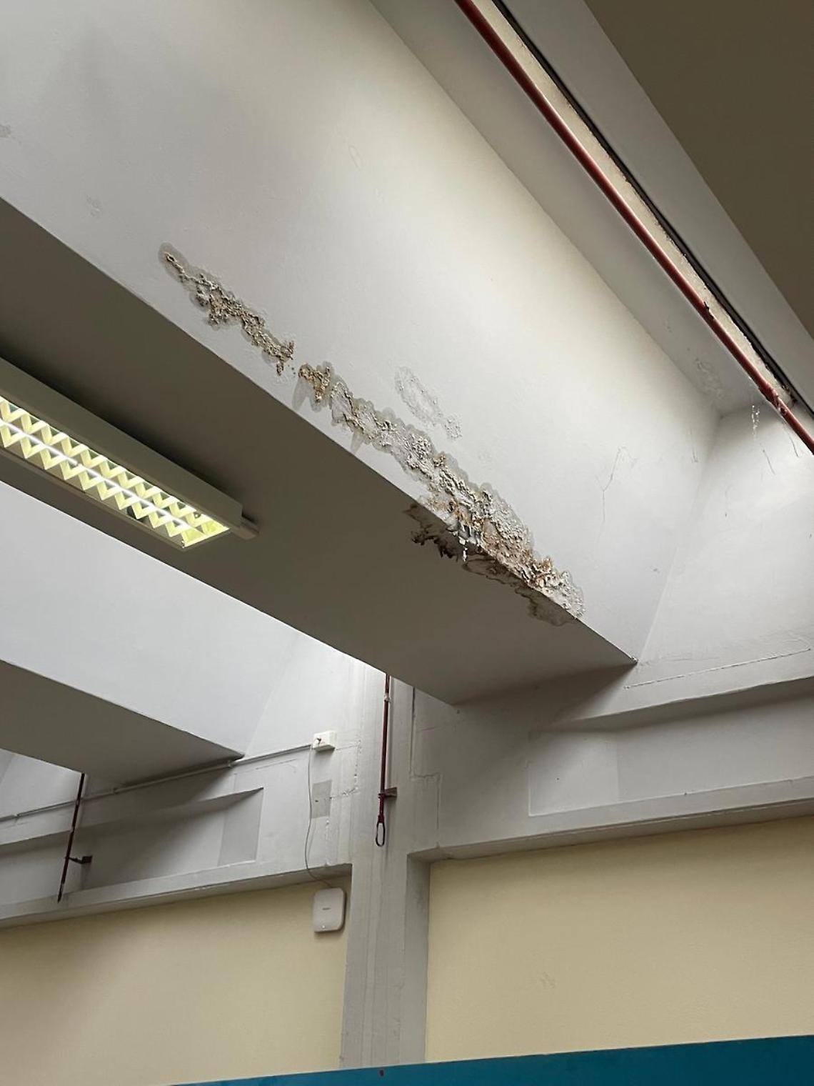 Guglielmotti sotto la pioggia, gli studenti attaccano la Regione