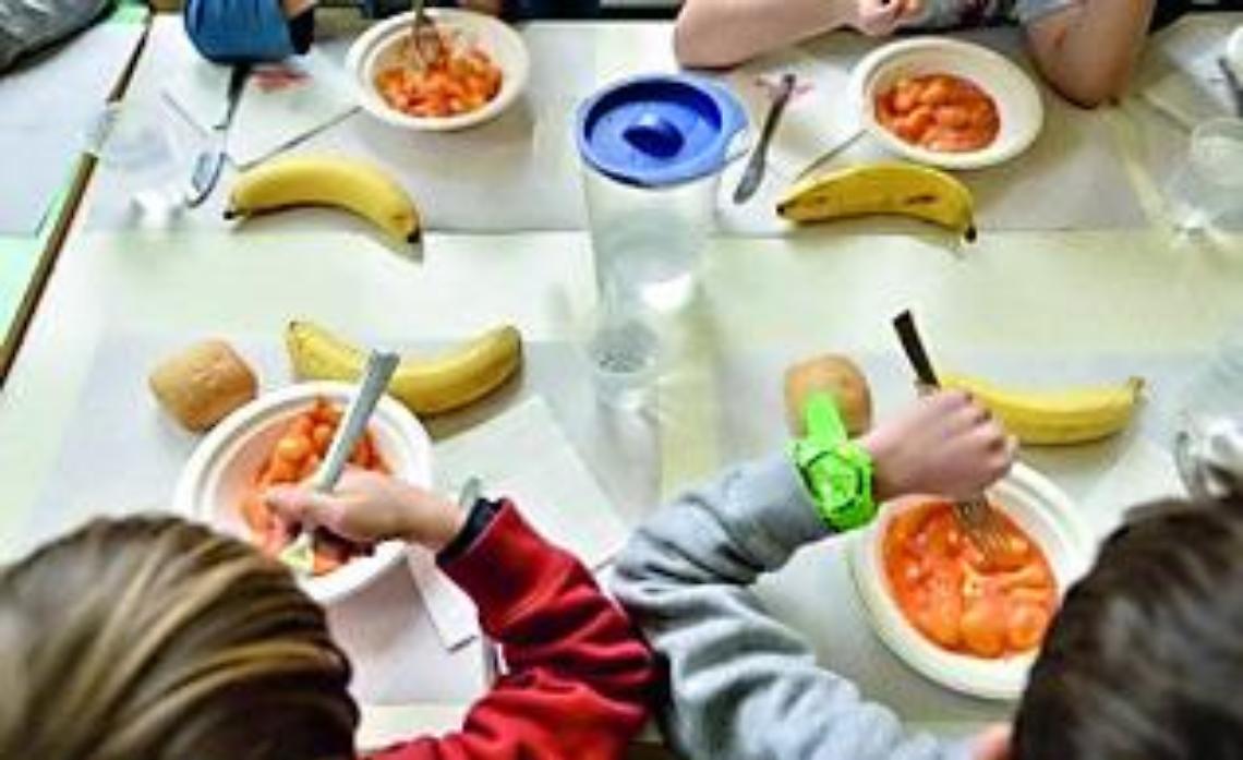 Pd Tolfa: «L’app fantasma della mensa scolastica»