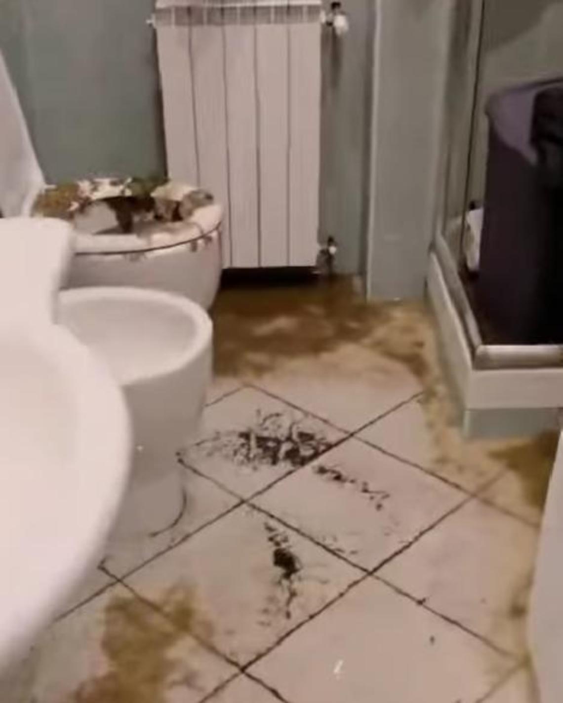 Una bomba d’acqua e si allaga casa: il dramma di una famiglia