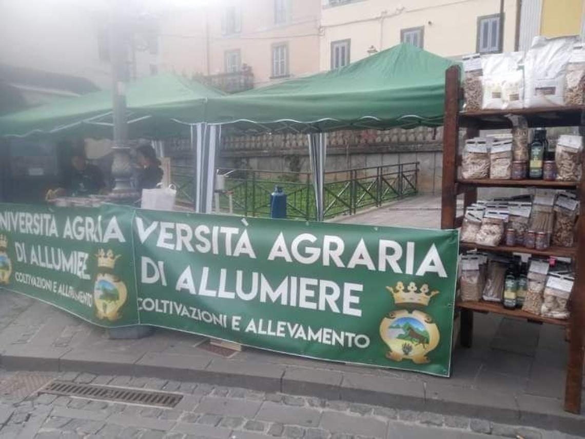L’Università Agraria di Allumiere protagonista alla 127ª Fieracavalli di Verona: il Cavallo Tolfetano porta in alto il territorio