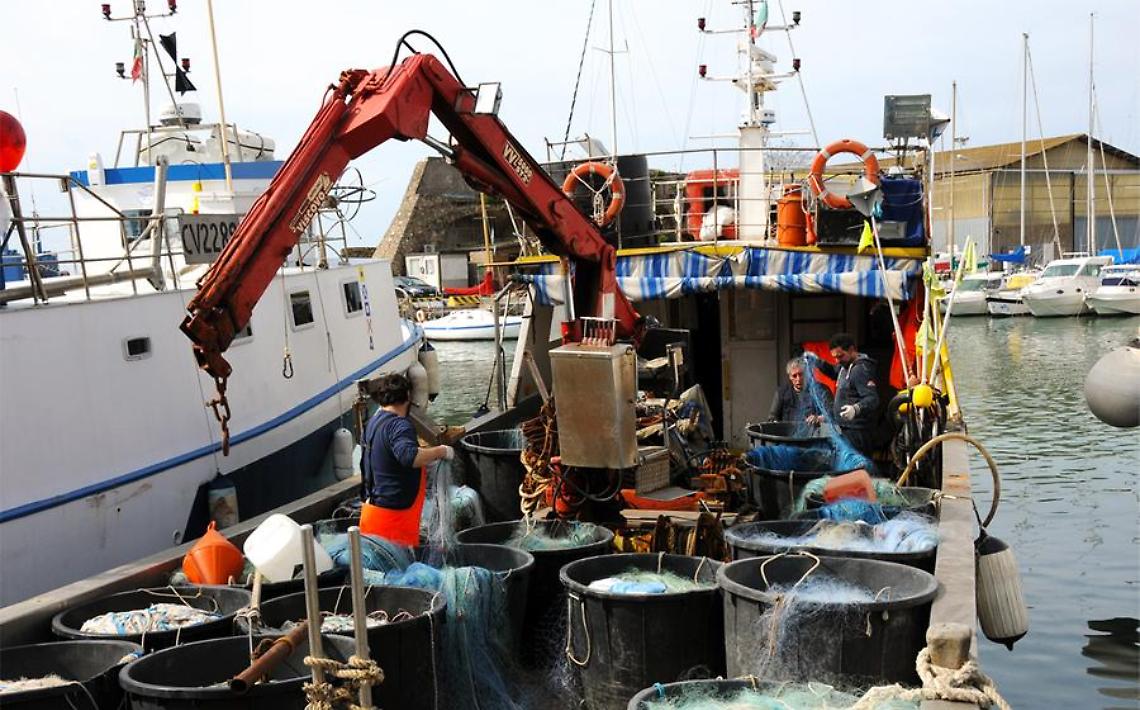 Cinque giorni in mare e stop ai tagli per il 2026: i pescatori tornano a respirare