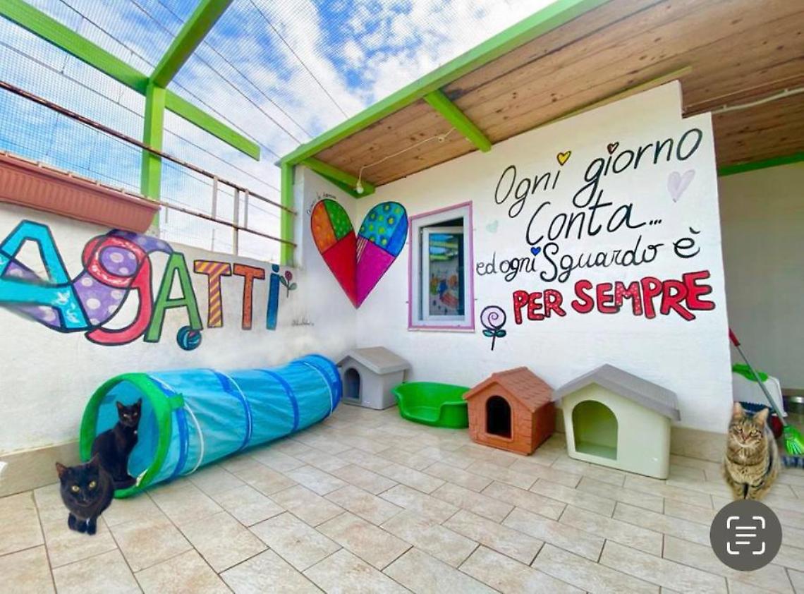 Dodici anni al servizio dei “pelosetti” più bisognosi del territorio