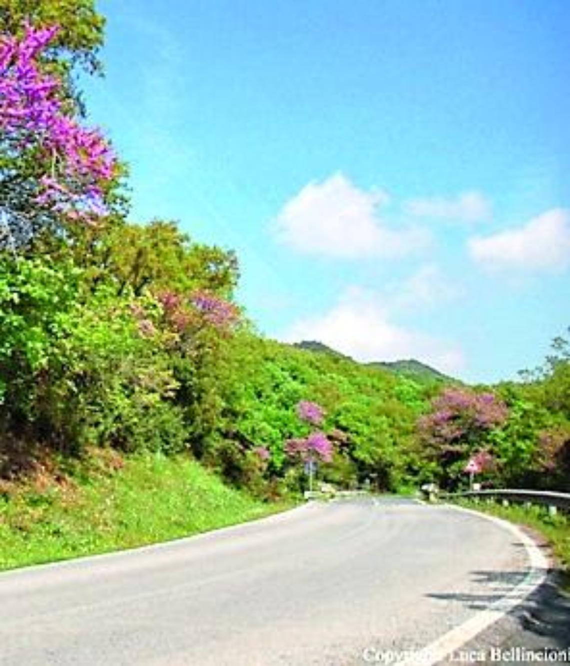 Strade, approvata la mozione del Pd: &laquo;Ora la Regione Lazio dica cosa intende fare&raquo;