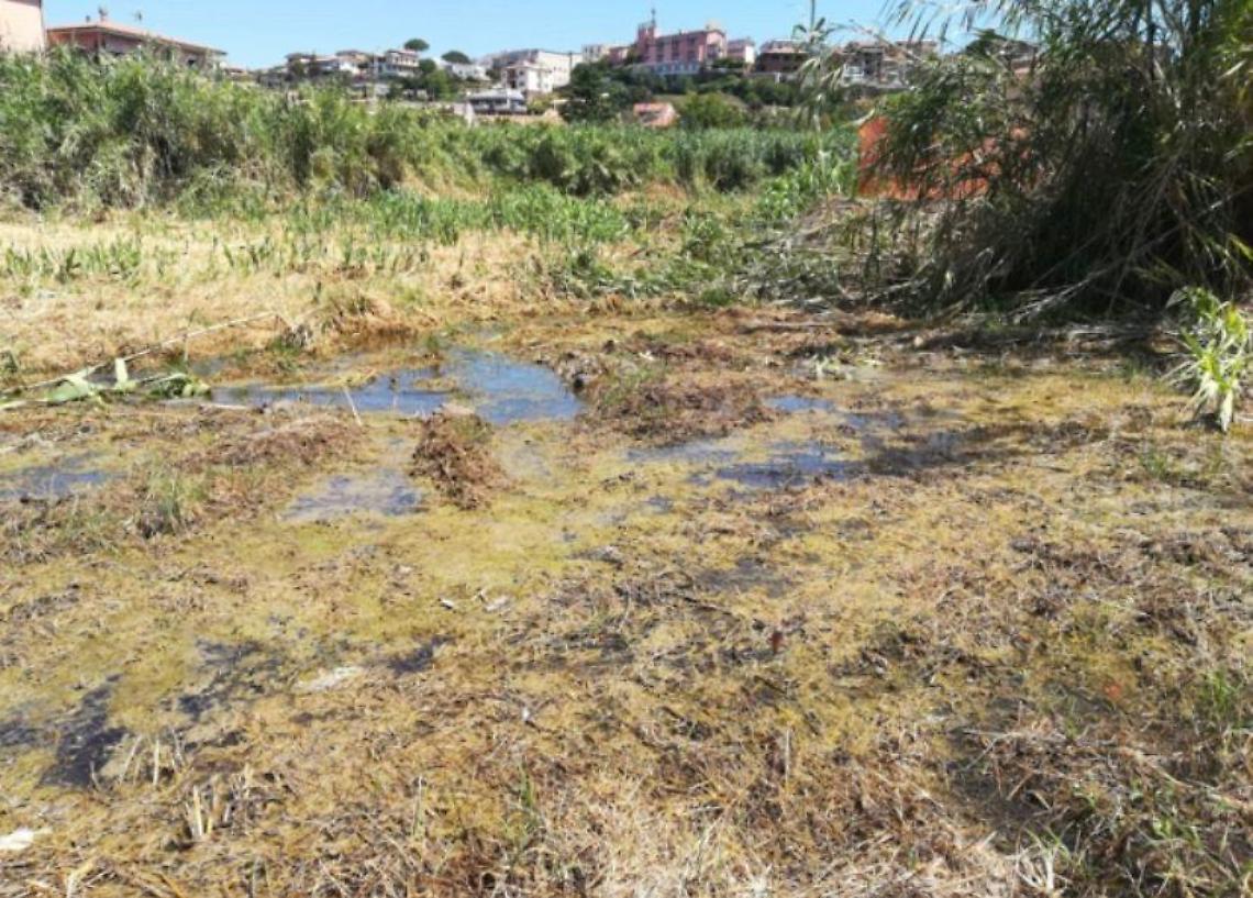 Perdita d&rsquo;acqua all&rsquo;altezza di Piane del Mignone a Tarquinia: interventi di riparazione gioved&igrave; 18 dicembre