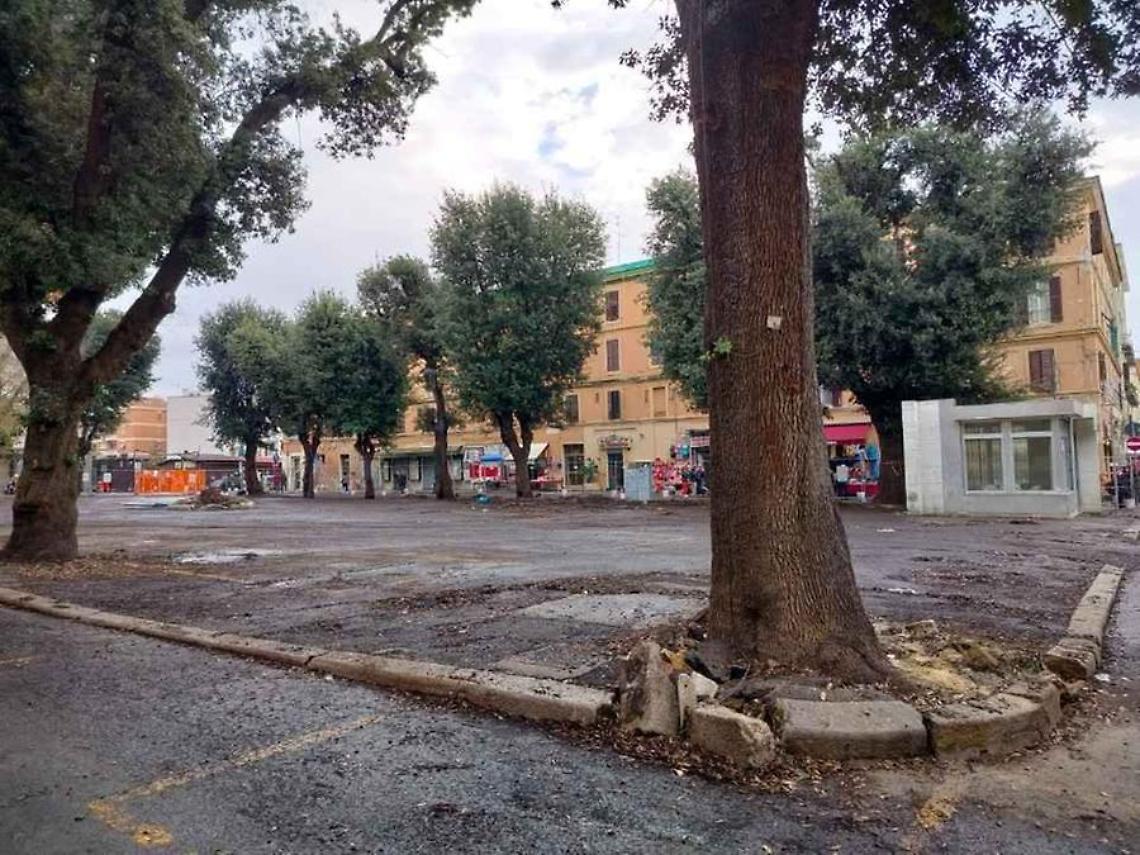 Mercato, tolta la tensostruttura restano solo gli alberi: Comitato all&rsquo;attacco
