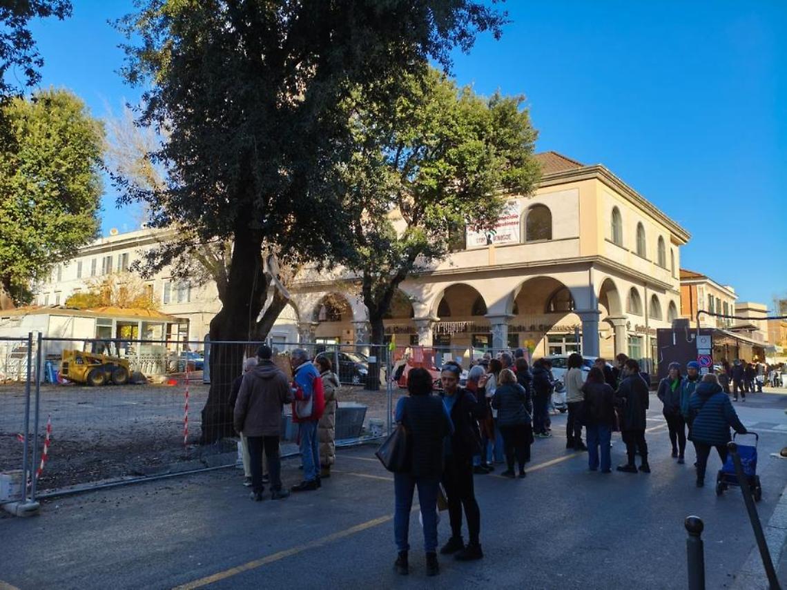 Piazza Regina Margherita, conto alla rovescia per il taglio dei lecci
