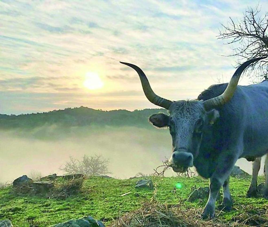Universit&agrave; Agraria di Tolfa, nuovo assetto tra polemiche e richieste di chiarezza