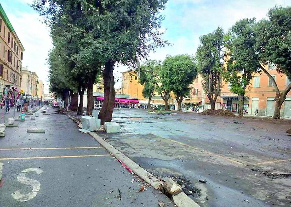 &laquo;Difendere gli alberi di piazza Regina Margherita a Civitavecchia significa difendere la memoria e il futuro della citt&agrave;&raquo;