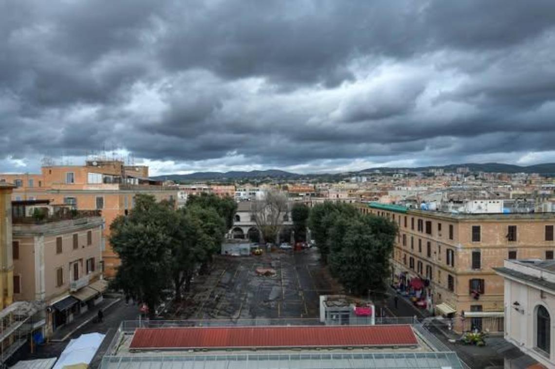 Angeloni: &laquo;La strage dei Lecci a Civitavecchia, bastava guardare su Amazon&raquo;