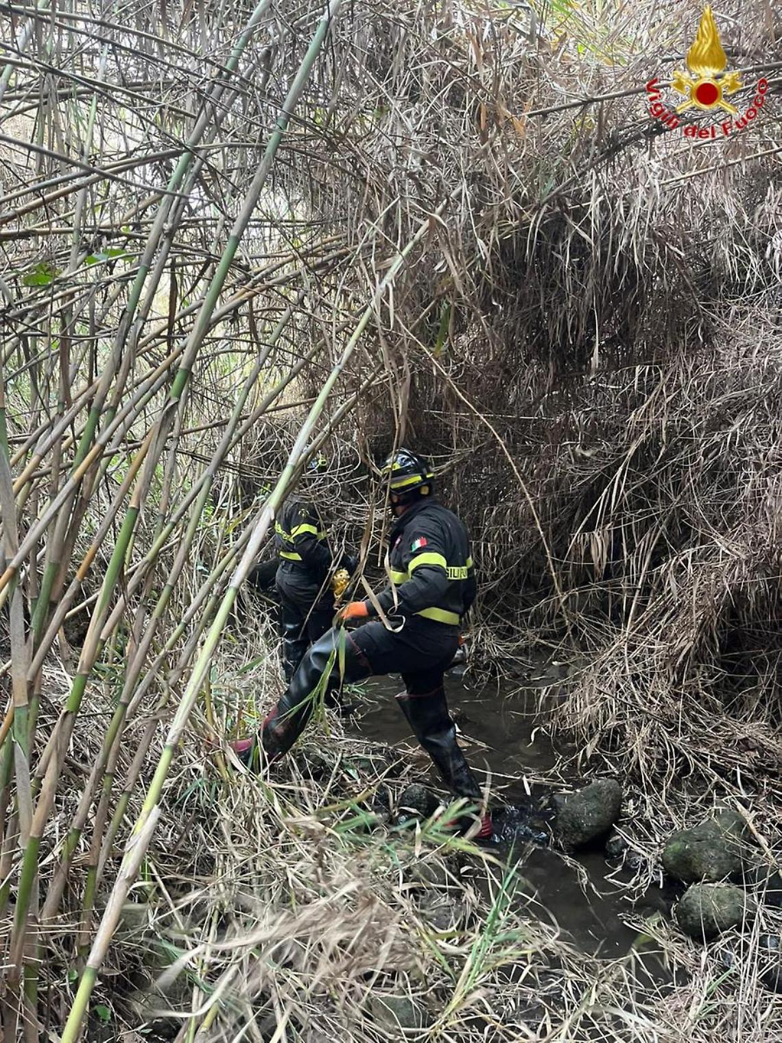 Cavallo scivola in un dirupo: salvato dai vigili del fuoco