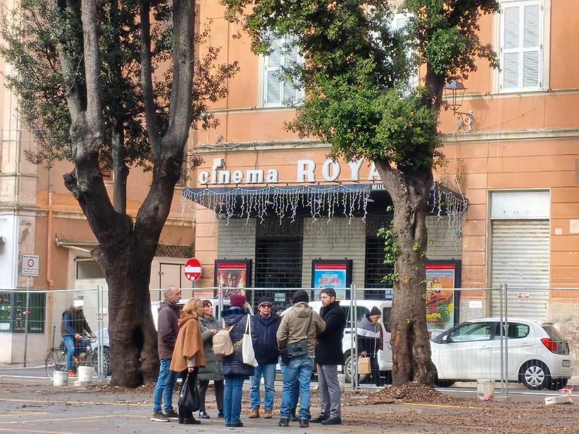 Piazza Regina Margherita, il Comitato salviamo gli alberi: &laquo;Ostinazione del Sindaco&raquo;