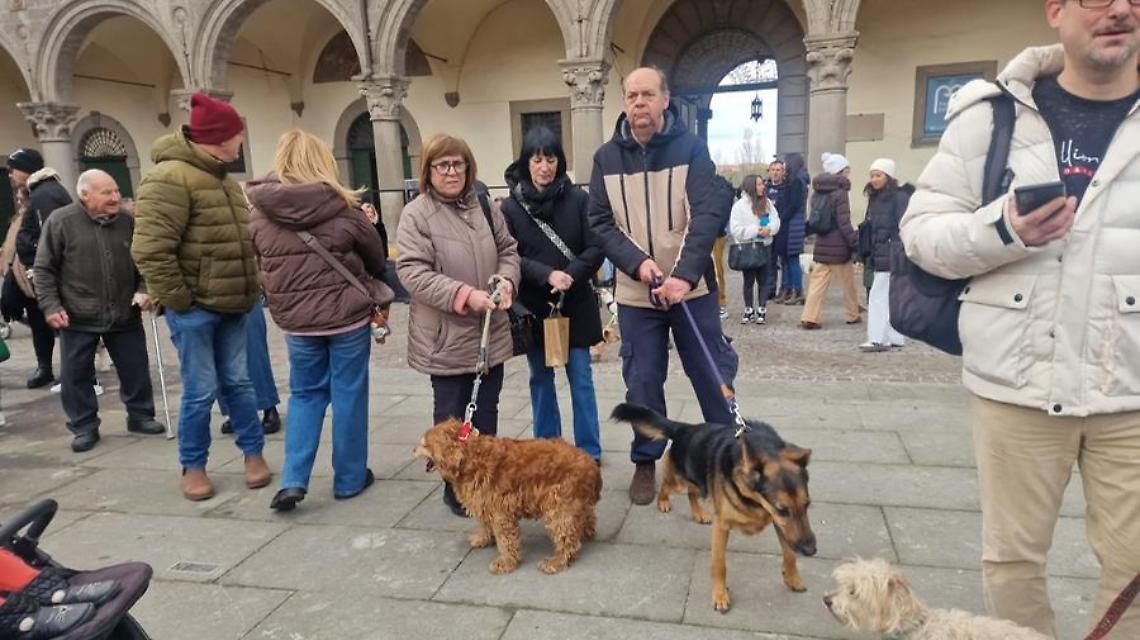 Viterbo: pienone per la benedizione degli animali