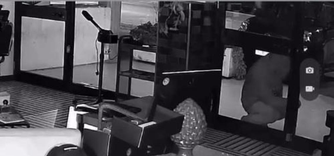 Viterbo: tenta un furto nel salone di parrucchieri