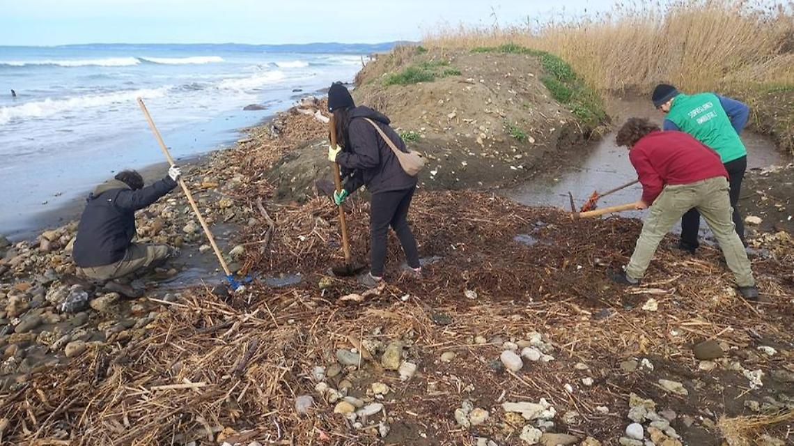 Palude nella morsa dell&rsquo;erosione